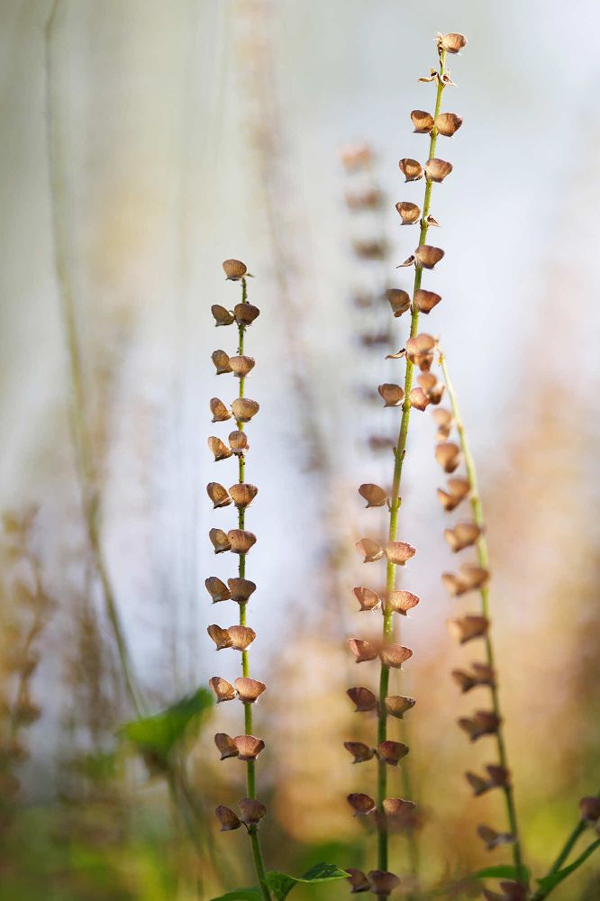 06 Rang 144 Schaufelberger Gaby